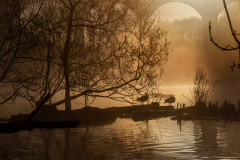 Reddish Vale, morning 07-04-2023